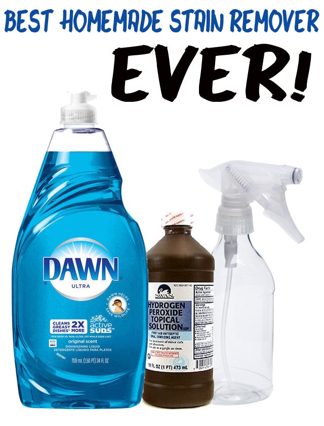 BEST Homemade Stain Remover EVER 