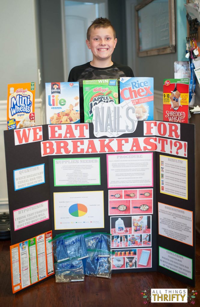 Science Fair Project Ideas For 5th Graders 2 All Things Thrifty