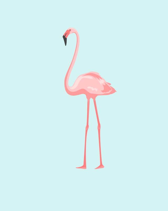 OhSoLovely-Flamingos-01