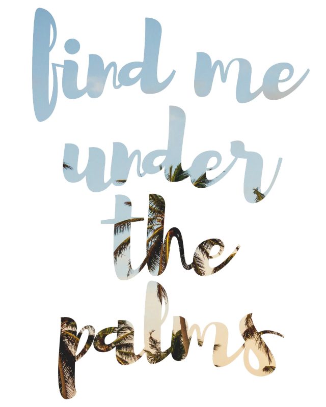 find-me-under-the-palms